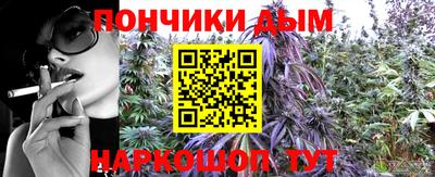 дживик Заводоуковск