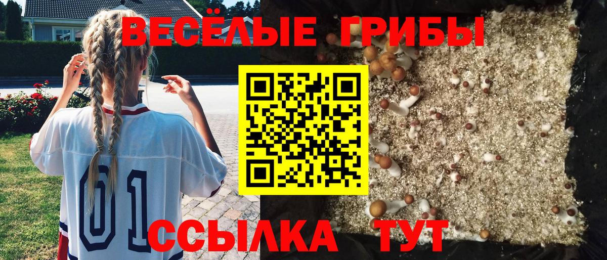 Галлюциногенные грибы Cubensis Майский