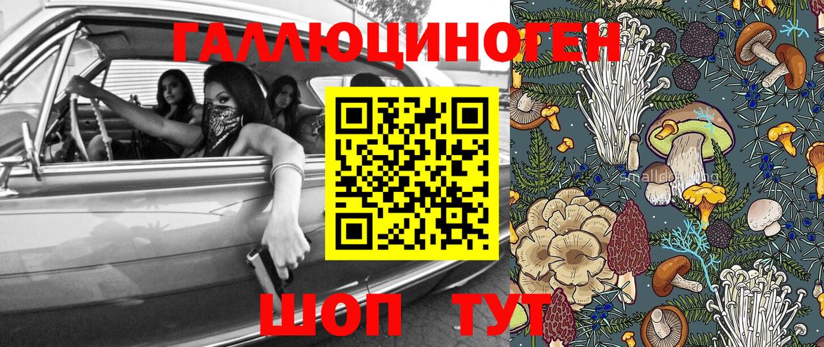 Майский  Псилоцибиновые грибы Psilocybe  Вход с VPN 